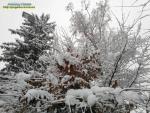 Прогноз погоди на 23 - 26 лютого 2018 року.