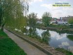Стан річок Горинь та Устя у червні 2019 року