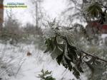 Прогноз погоди на 25-28 січня 2019 року по місту Рівне та області