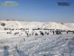 Прогноз погоди на 29-31 січня та 1-2 лютого 2019 року по місту Рівне та області