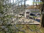 Прогноз погоди на 14-17 квітня 2020 року по місту Рівне та області