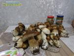 Прогноз погоди на 20-22 жовтня 2020 року по місту Рівне та області