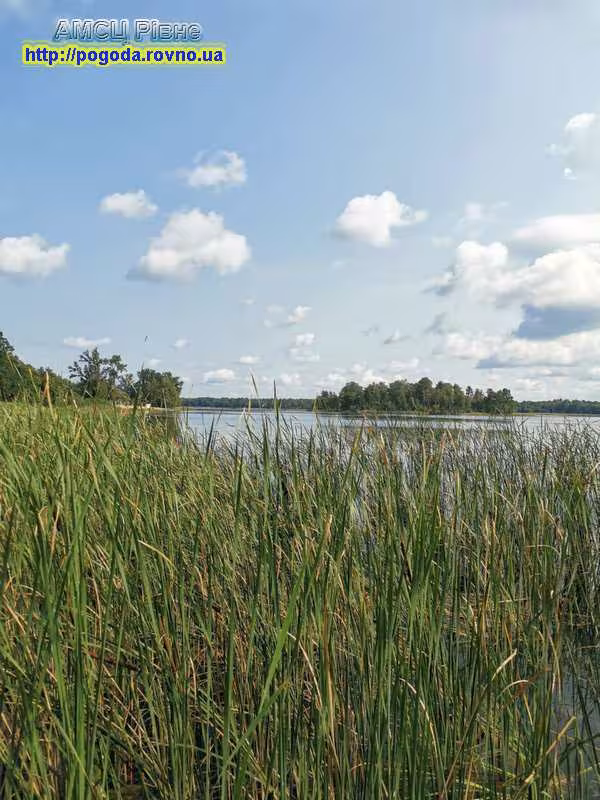 Рівненська область село Острівськ