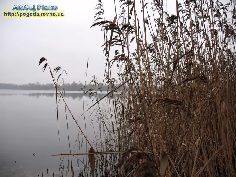 Погода Рівненська область