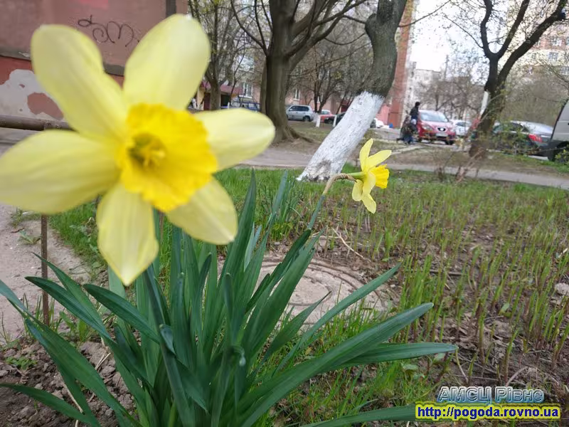 Прогноз погоди по місту Рівне