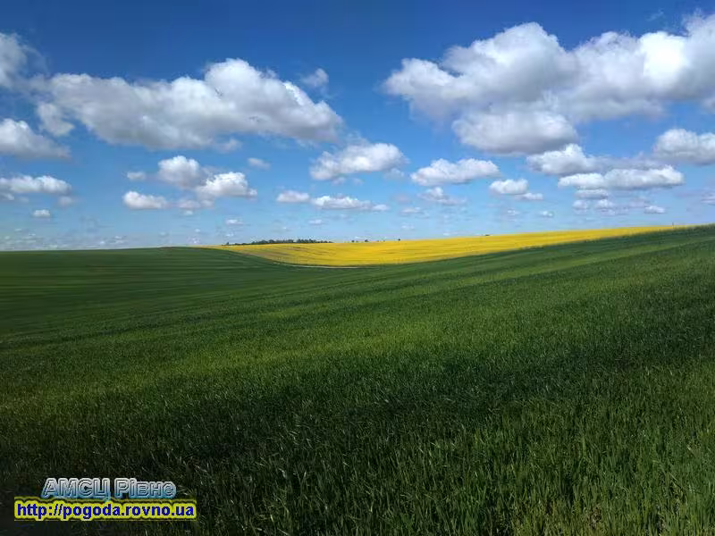 Прогноз погоди по Рівненській області