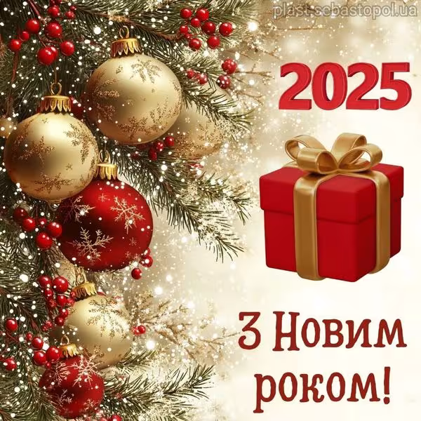 З Новим 2025 роком !