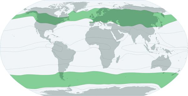 Помірний клімат землі (помірний кліматичний пояс)