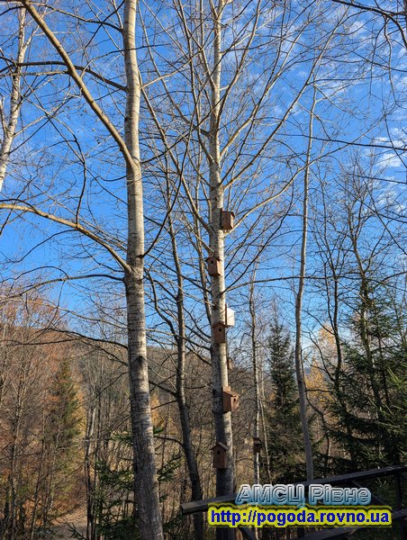 погода Рівне погода Рівне