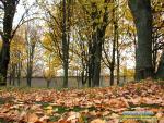 Чарівна осінь Чарівна осінь